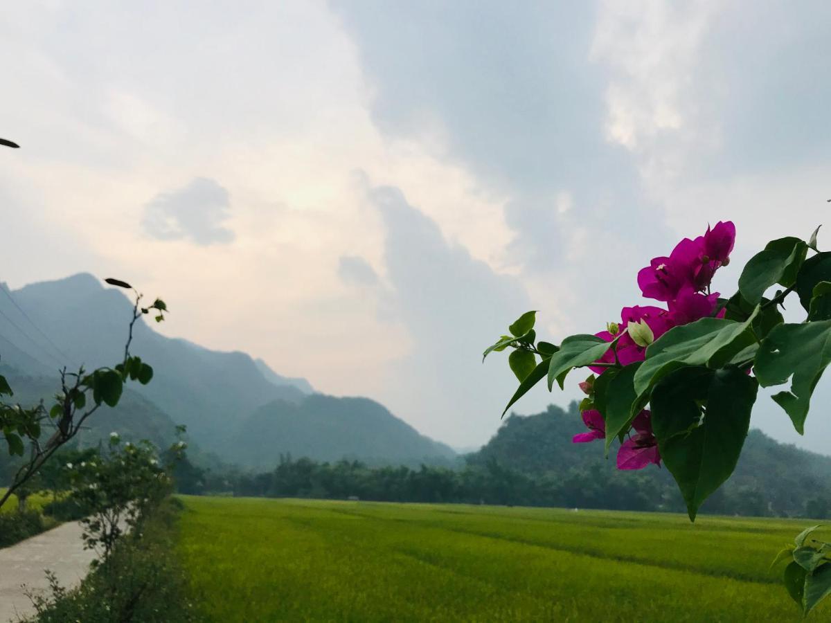 Jomo House Mai Chau Hotel Hòa Bình Buitenkant foto