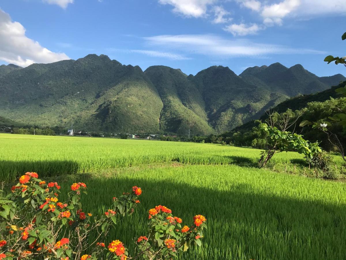 Jomo House Mai Chau Hotel Hòa Bình Buitenkant foto